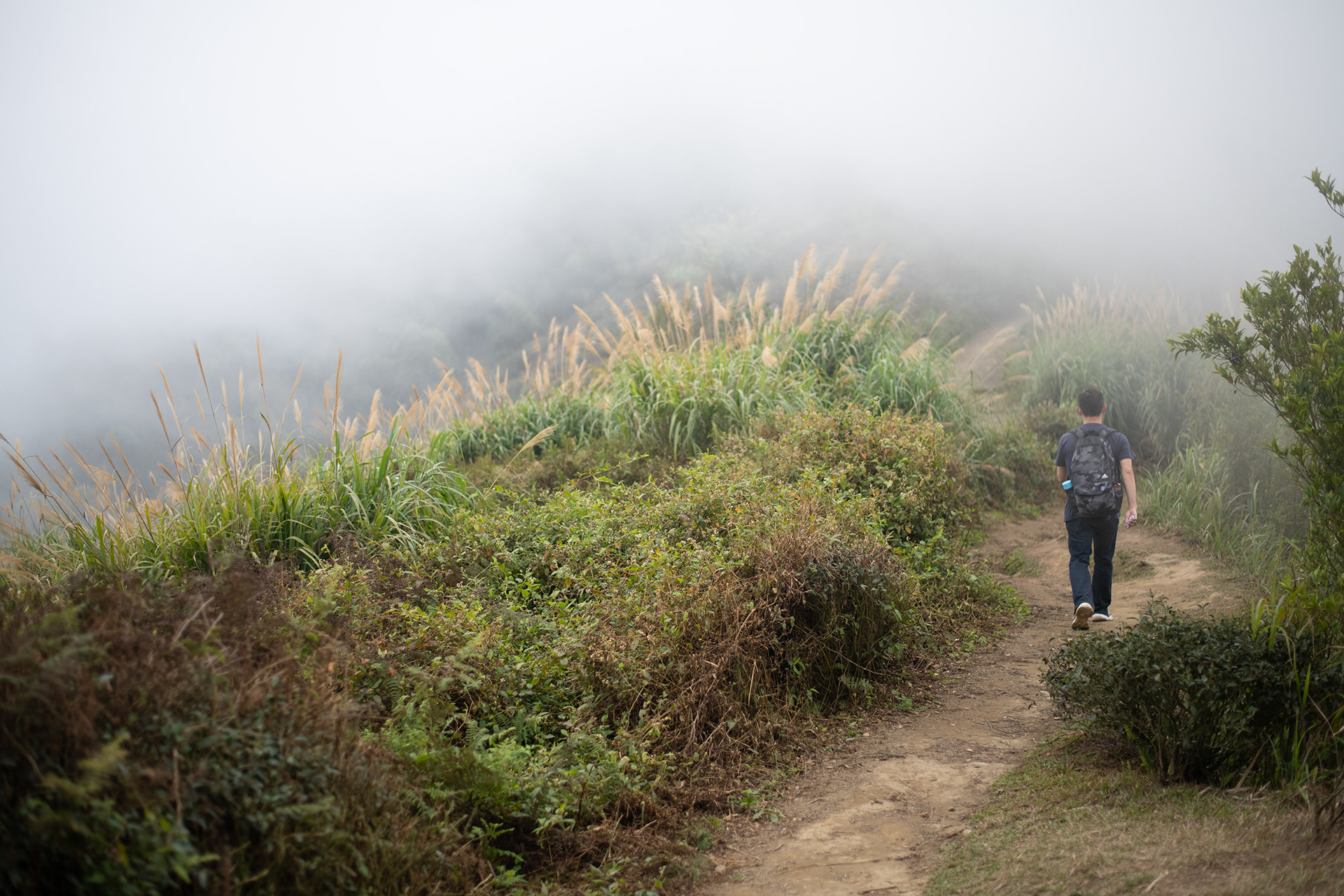 hiker walks into misty trail